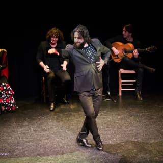 Flamenco show at the Triana Theatre 2