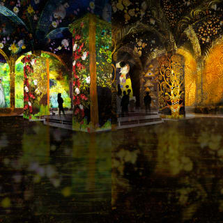 Impressive Monet & Brilliant Klimt 3