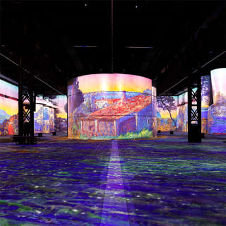 Monet: Erlebe ein immersives Meisterwerk bei Phoenix des Lumières 4