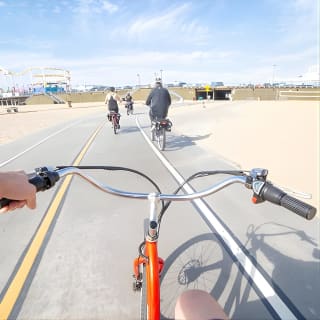 Small-Group Electric Bike Tour of Santa Monica and Venice 3