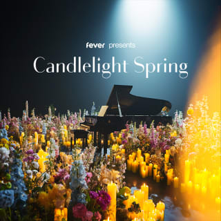 Candlelight Spring : hommage à Ludovico Einaudi 2