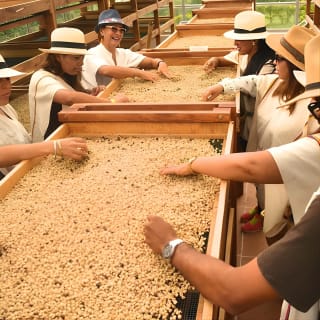 Kaffeetour auf der Finca del Café 2