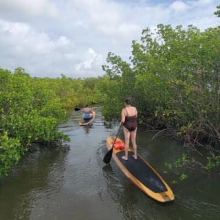 New Smyrna Dolphin and Manatee Kayak and SUP Adventure Tour 29