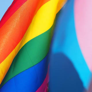 Día del Orgullo 8 1