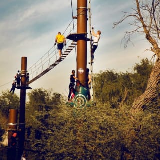 Aventura Parks Dubai: Dubai's largest Ghaf tree forest 5