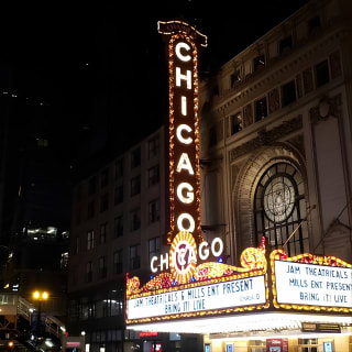 Big Bus Chicago Sunset Tour 6