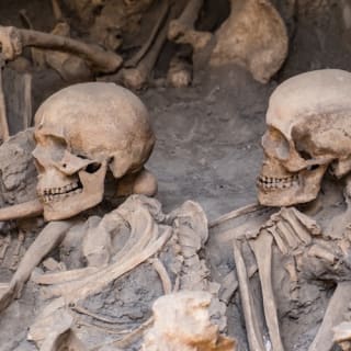 Ercolano: Biglietto d'ingresso + visita guidata 5