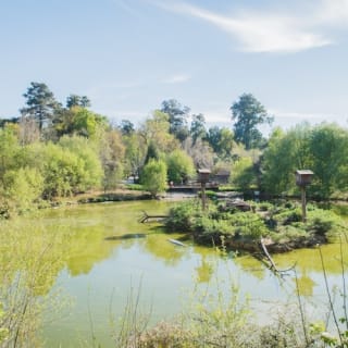 Saint Ignatius Zoo: no queues 2