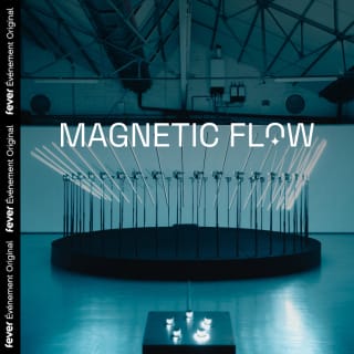 Magnetic Flow: een indrukwekkende tentoonstelling van geluid en licht 5
