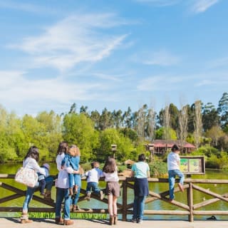 Saint Ignatius Zoo: no queues 3