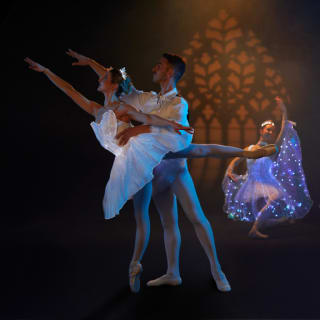 Ballet of Lights : La Belle au bois dormant dans un spectacle étincelant - Carte-cadeau 3