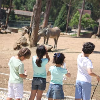 Saint Ignatius Zoo: no queues 4