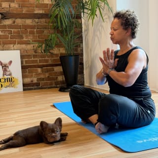 Puppy Yoga chez Pawsitive Studio 3