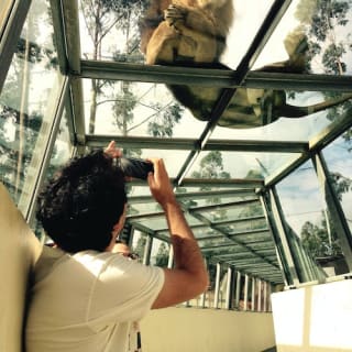 Saint Ignatius Zoo: no queues 5
