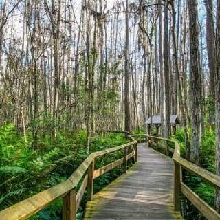 Parc national des Everglades - Tournée audio autoguidée en voiture 3