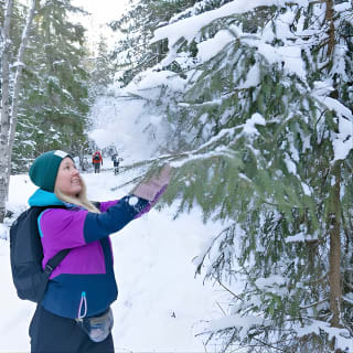 4 hours Winter View of the Oslofjord Walk Tour  11