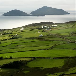 Ring of Kerry Day Tour from Limerick: Including Killarney National Park 13