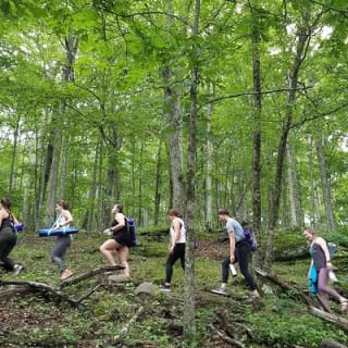 Mountaintop Yoga & Meditation Hike in Asheville 5