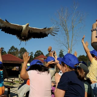 Saint Ignatius Zoo: no queues 6