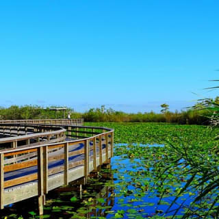 Parc national des Everglades - Tournée audio autoguidée en voiture 7