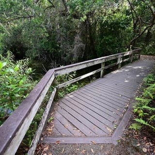 Parc national des Everglades - Tournée audio autoguidée en voiture 10