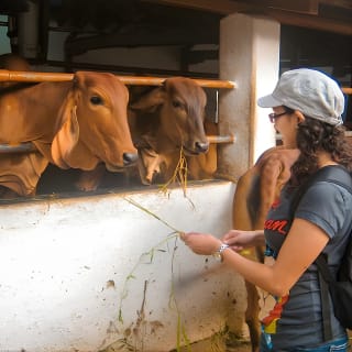 Mumbai Bicycle Tour 11