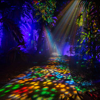NightGarden - Miami 3
