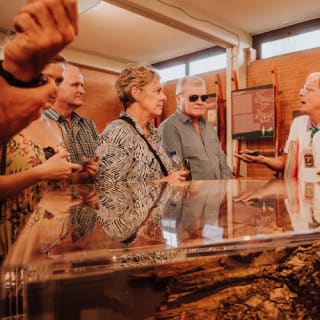 Ercolano: Biglietto d'ingresso + visita guidata 18