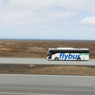 Keflavik-Reykjavik Airport Transfer: One Way Ticket 2
