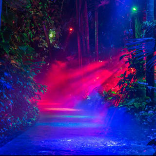 NightGarden - Miami 5