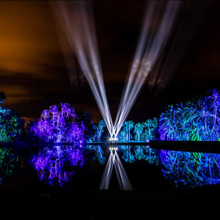 NightGarden - Miami 6