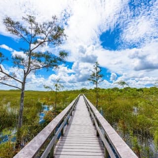 Parc national des Everglades - Tournée audio autoguidée en voiture 12