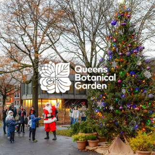 Winter Wonder at Queens Botanical Garden 1