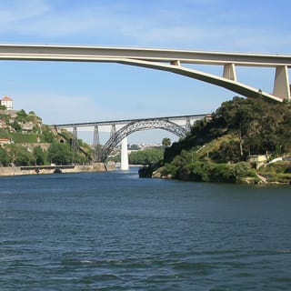 6 Bridges Cruise on the Douro River 5