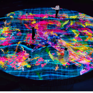 Digital Light Canvas by teamLab 3