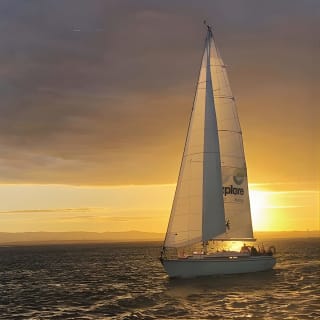 Auckland Harbour Sailboat Cruise Including Three Course Dinner 1