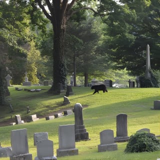 Asheville Ghost Tour: A Walk Through Riverside Cemetery & Montford Neighborhood 6