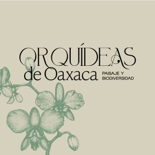 Orquídeas de Oaxaca | Expo-venta 1