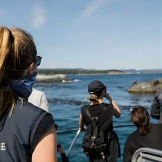 Victoria Whale Watch Tour 7