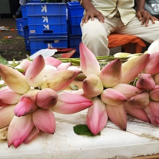 Take in the Beauty of an Early Morning with Fresh Flowers  5