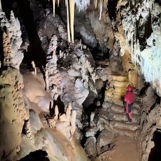 Discover one of the most beautiful caves in Alcudia. 2