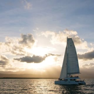 Sunset Sailing Cruise from Port Douglas 5