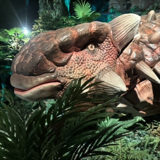 Dinosauri: l’odissea immersiva 9
