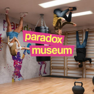 Paradox Pass Memberships 2