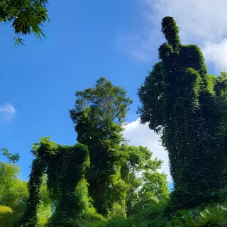 El Yunque Rainforest and Luquillo Kiosk Day Trip 11