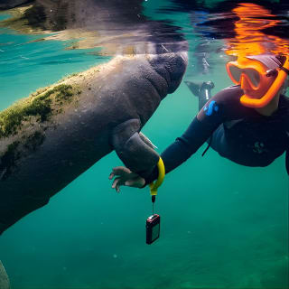 Manatee Swim and Wildlife Park with Upgrade Options from Orlando 6