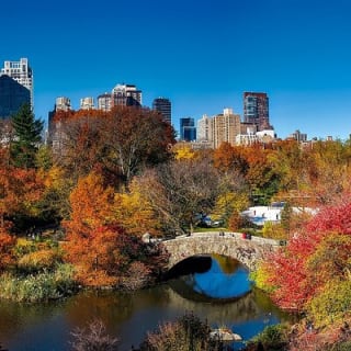 Shakespeare Outdoor Escape Game in New York Central Park 1