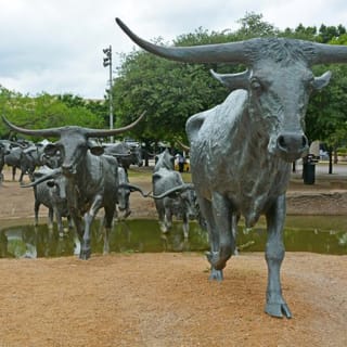 Dallas Cruiser Tour 2