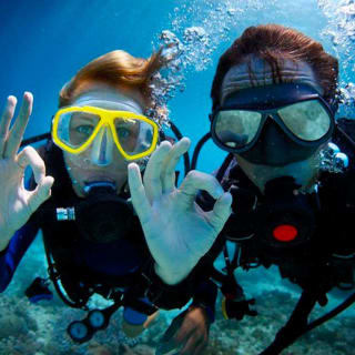 Discover Scuba Diving in Dubai 1