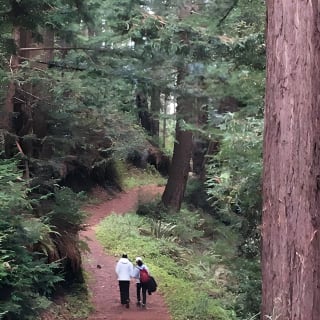 3-Hour Kayaking and Hiking in California’s Central Coast 15